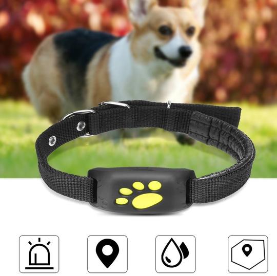 LOCALIZADOR GPS PARA MASCOTAS Z8-A