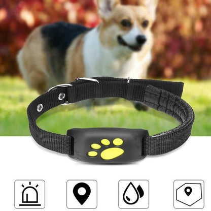 LOCALIZADOR GPS PARA MASCOTAS Z8-A
