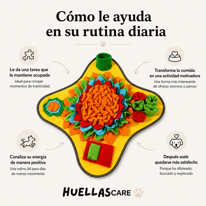 Alfombrilla de olfateo interactiva