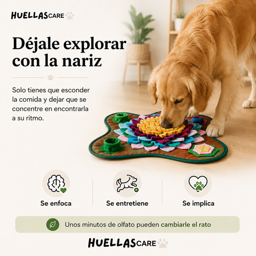 Alfombrilla de olfateo interactiva
