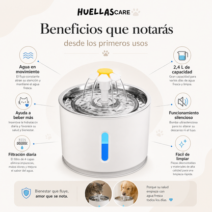 HydraCat*