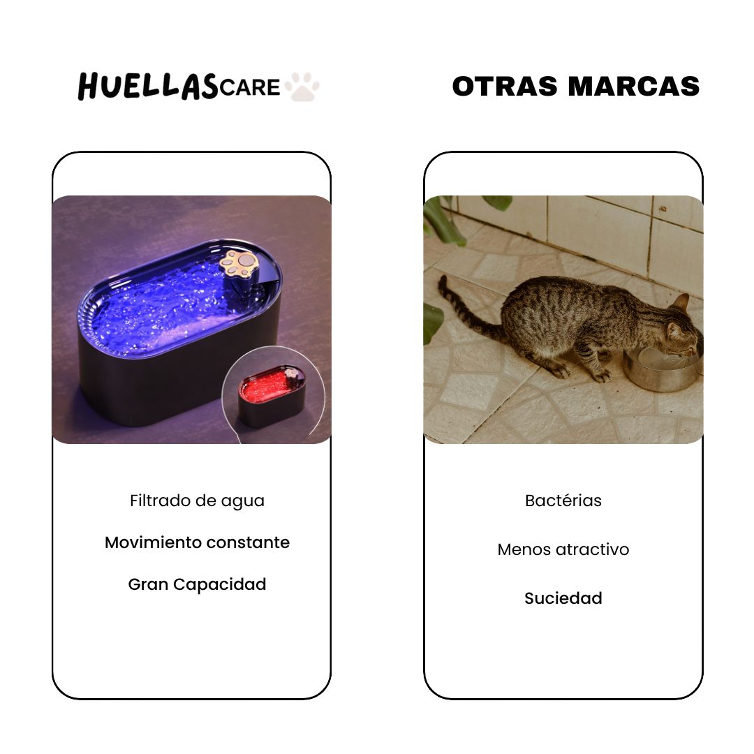 Fuente automática para gatos | Silenciosa y fácil de limpiar