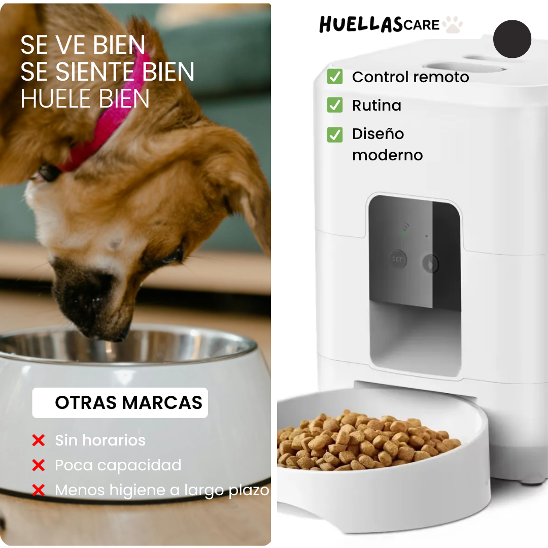 Dispensador Inteligente de Comida