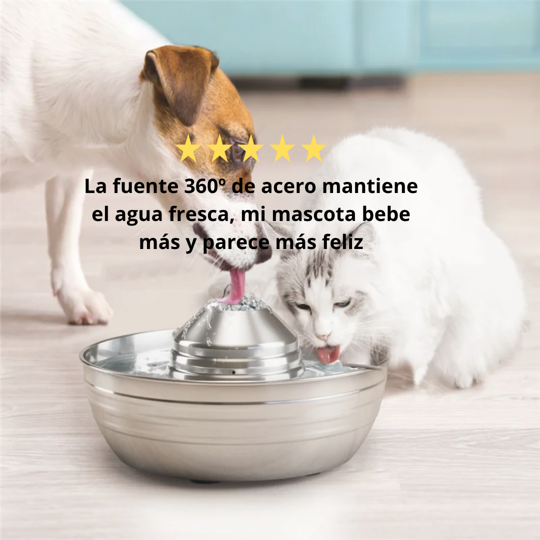 Fuente 360º
